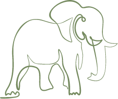 elephant-icon