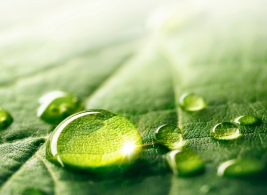 environmentally-friendly