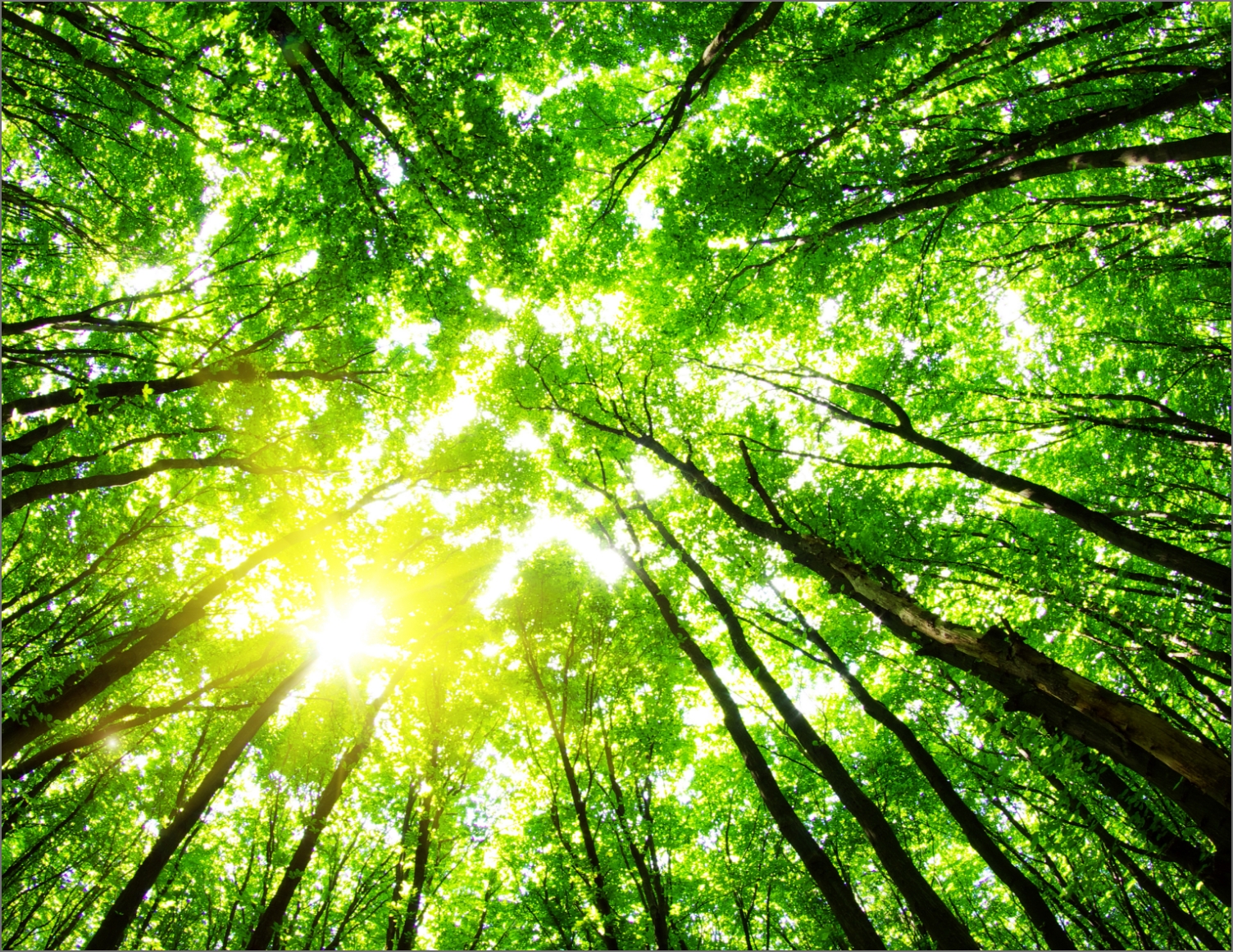 environmentally-friendly